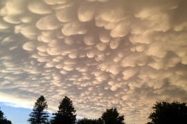 В Сочи объявили экстренное предупреждение